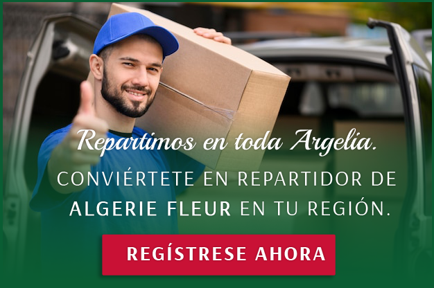 CONVERTIRSE EN REPARTIDOR