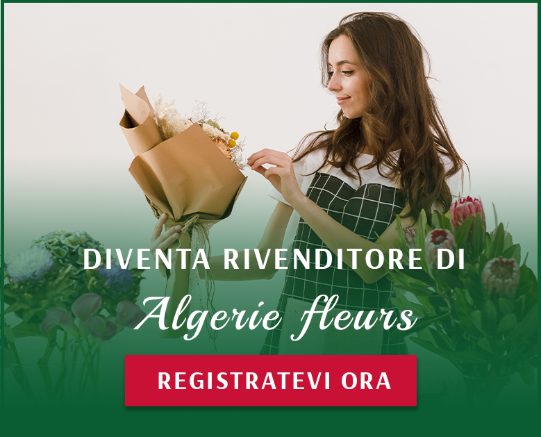 Diventa un rivenditore 