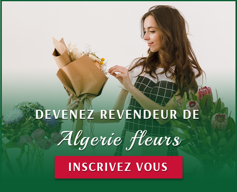 DEVENEZ REVENDEUR