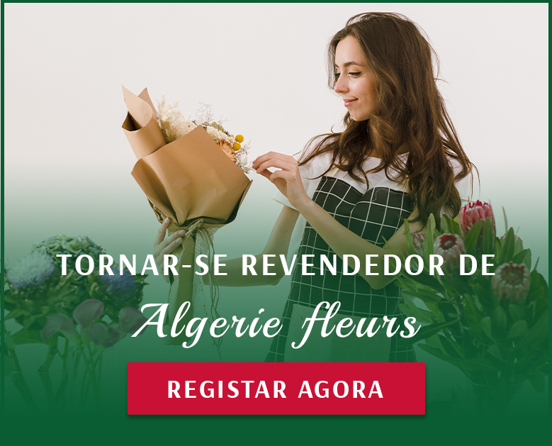 TORNAR-SE UM REVENDEDOR