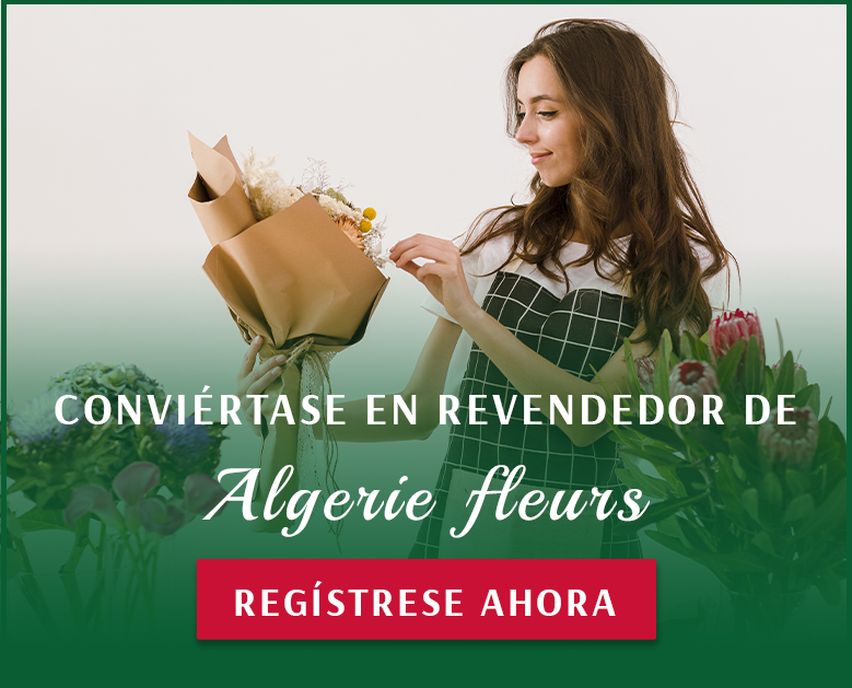 CONVIÉRTASE EN REVENDEDOR