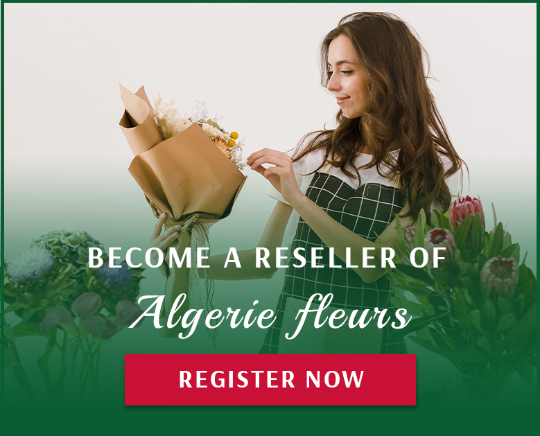 Become a Reseller